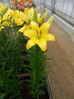 [4024 Barasso No01.JPG]